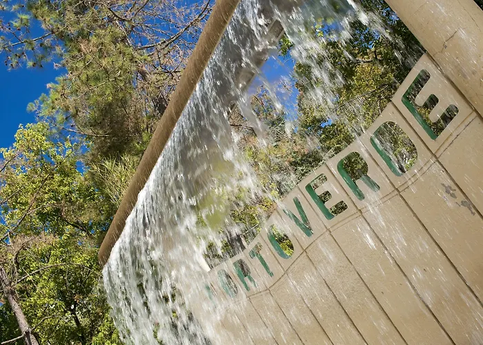 Portoverde Lejlighed *